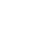 final finish icon
